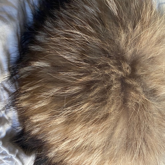 Mexa Poccnn Wolf Fur Hat